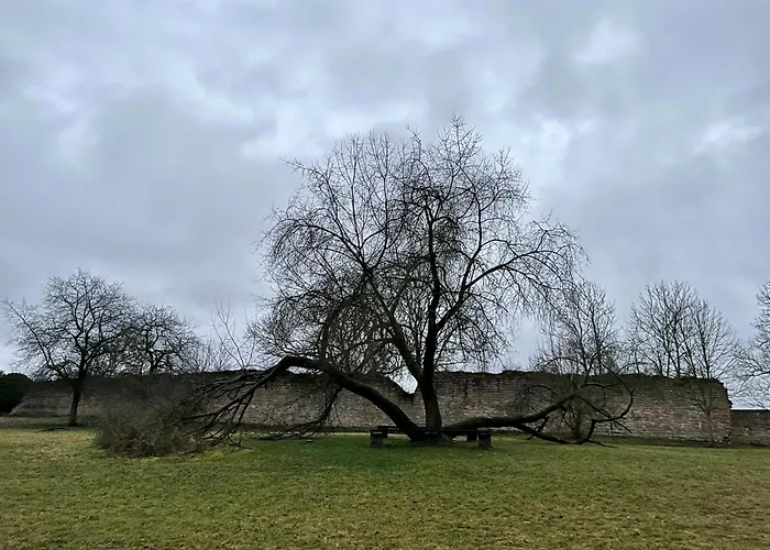 Delux Ferienwohnung Kunstgalerie Und Ilmradweg
