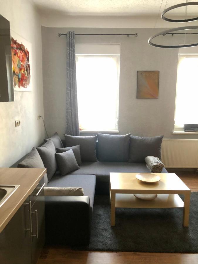 Apartment Delux Kunstgalerie Und Ilmradweg *