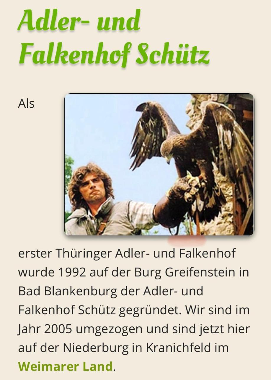 Delux Kunstgalerie Und Ilmradweg *